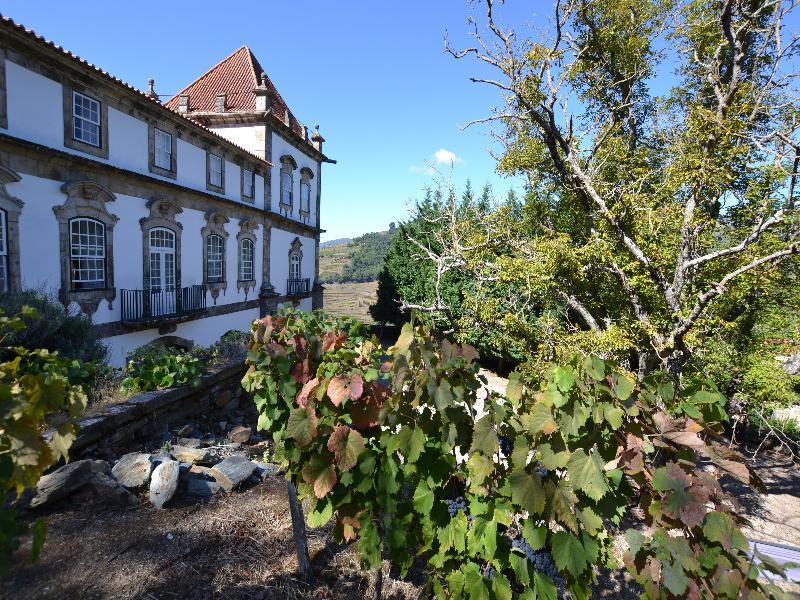 Casa Das Torres De Oliveira Mesão Frio Kültér fotó