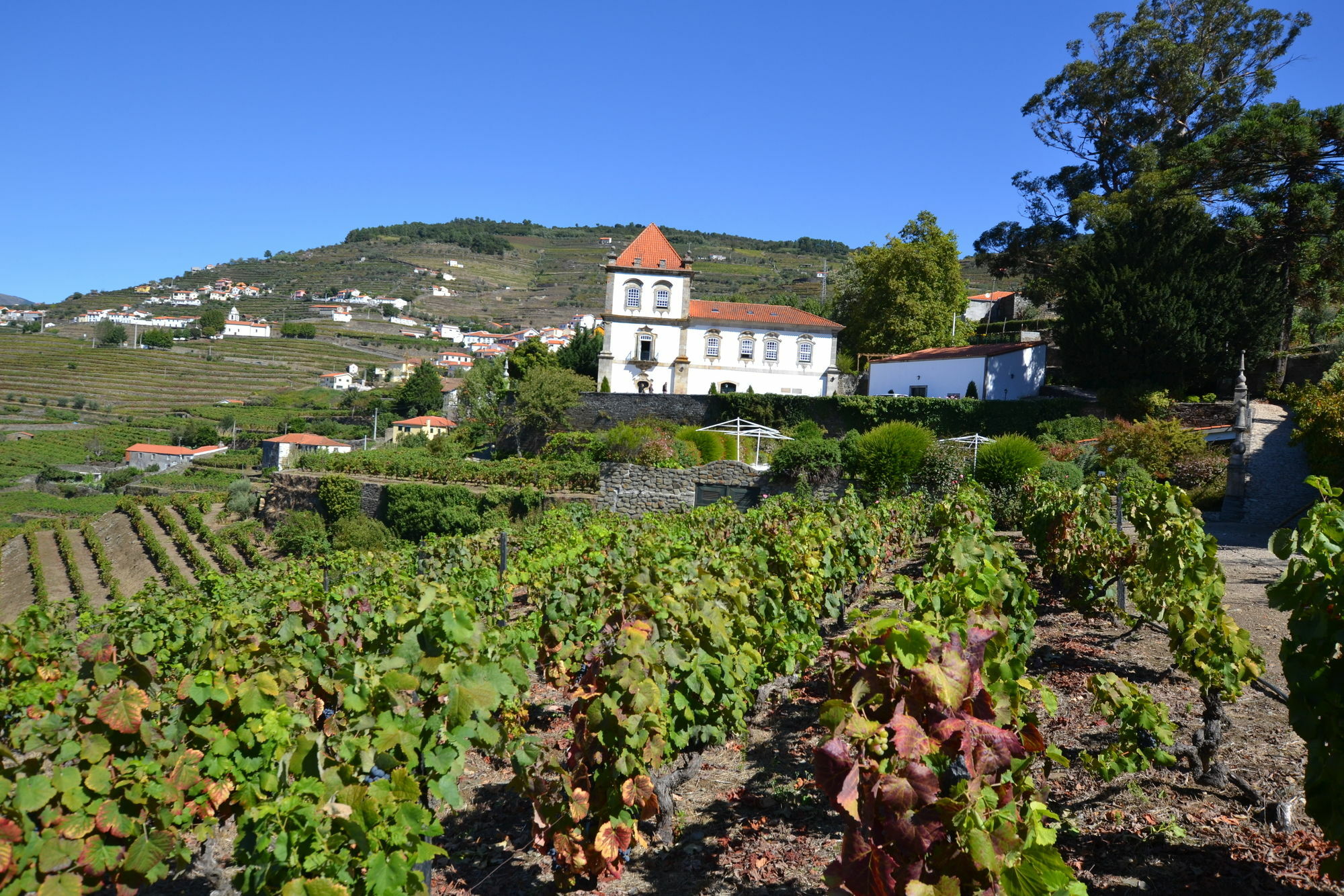 Casa Das Torres De Oliveira Mesão Frio Kültér fotó