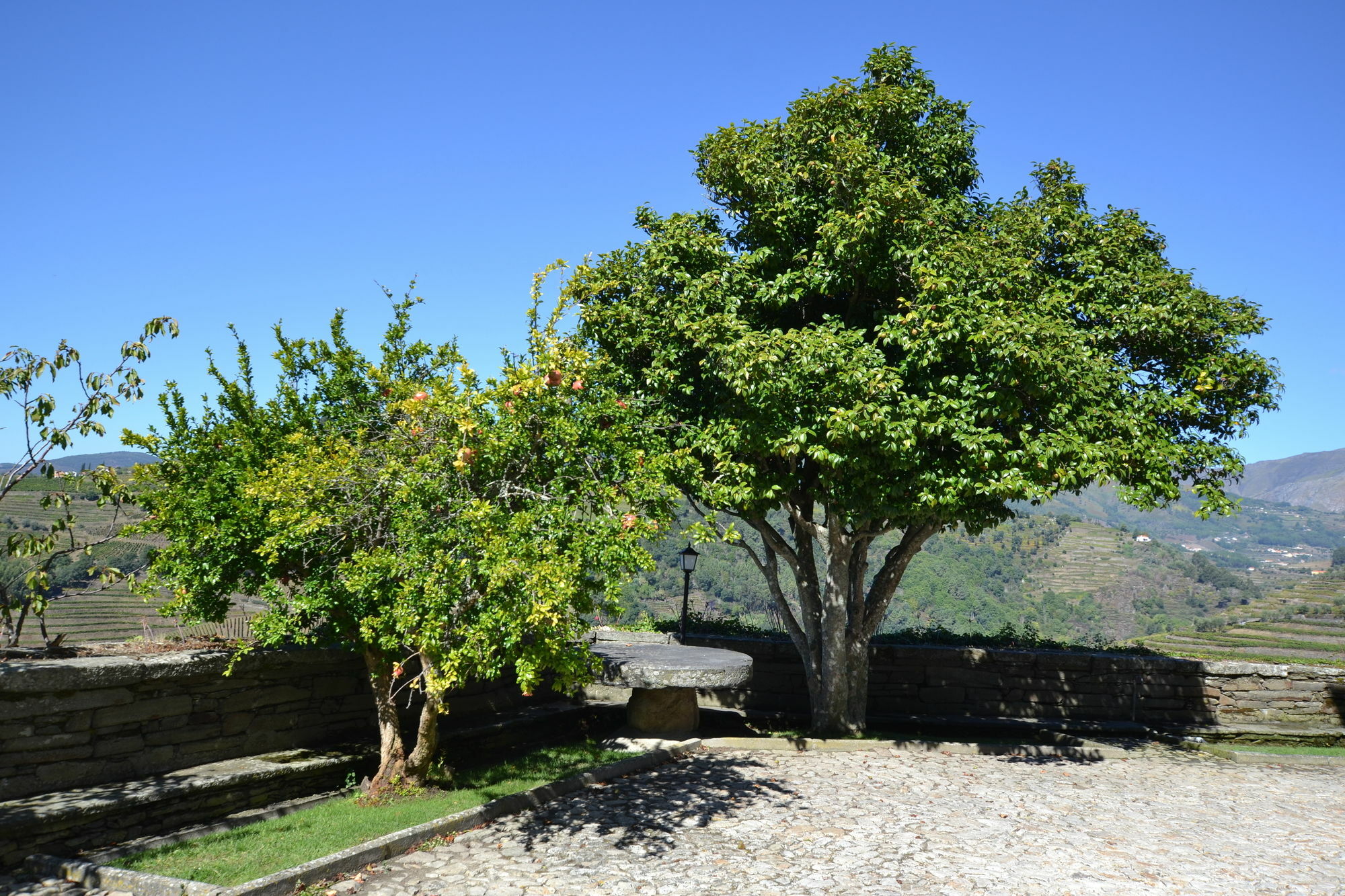 Casa Das Torres De Oliveira Mesão Frio Kültér fotó