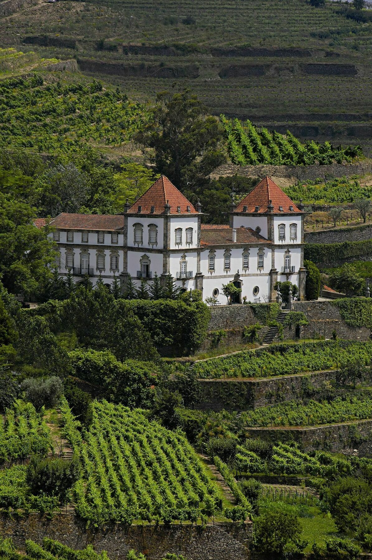 Casa Das Torres De Oliveira Mesão Frio Kültér fotó