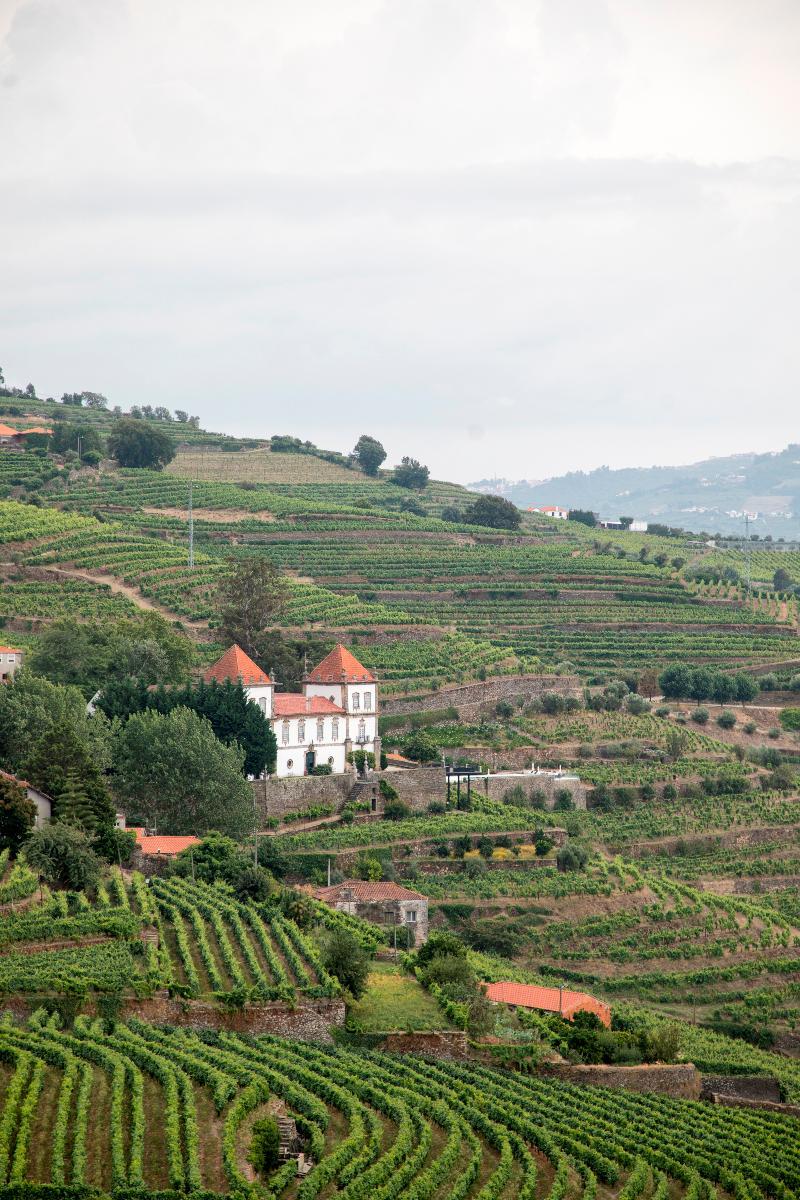 Casa Das Torres De Oliveira Mesão Frio Kültér fotó